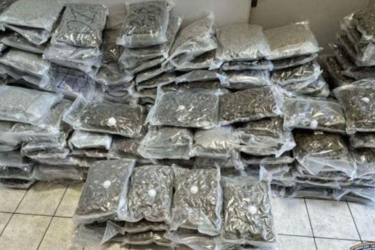 Τρεις συλλήψεις για ναρκωτικά σε αποθήκη στη Δυτική Αττική - Άνω των 750.000 ευρώ η αξία [βίντεο]